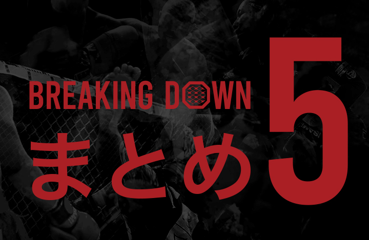 BreakingDown5（ブレイキングダウン5）総合まとめ